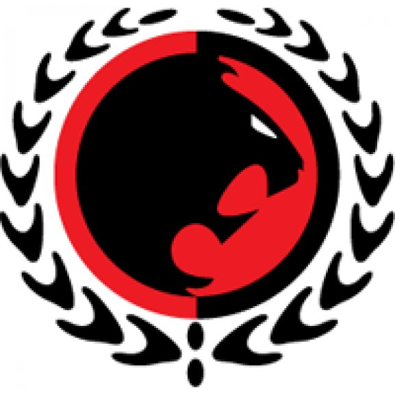 Logo of Gracie JIu Jitsu