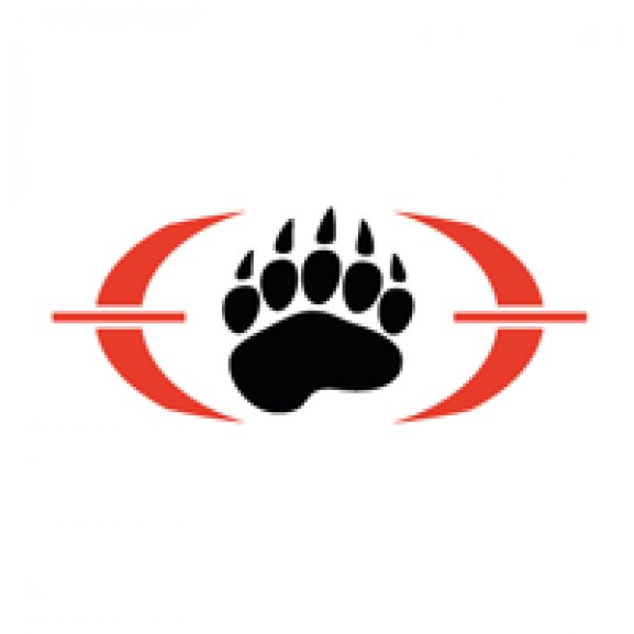 Logo of Blackwater Worldwide