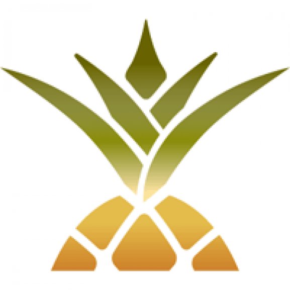Logo of Busch's Grocery Pineapple Logo