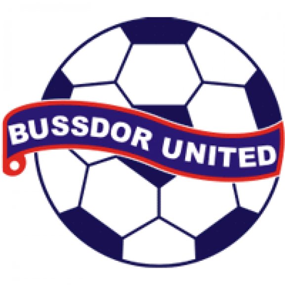 Logo of Bussdor FC