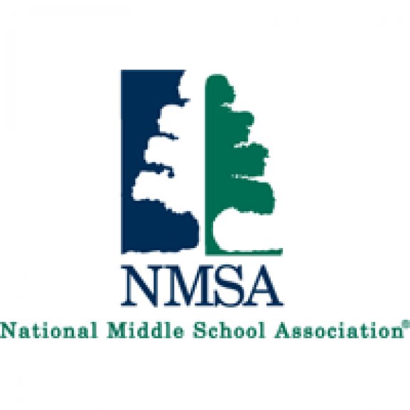Logo of NMSA