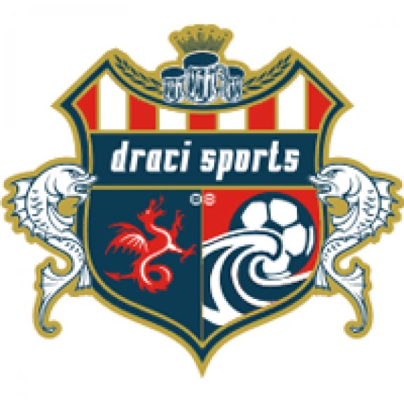 Logo of Draci Sports Soccer Logo