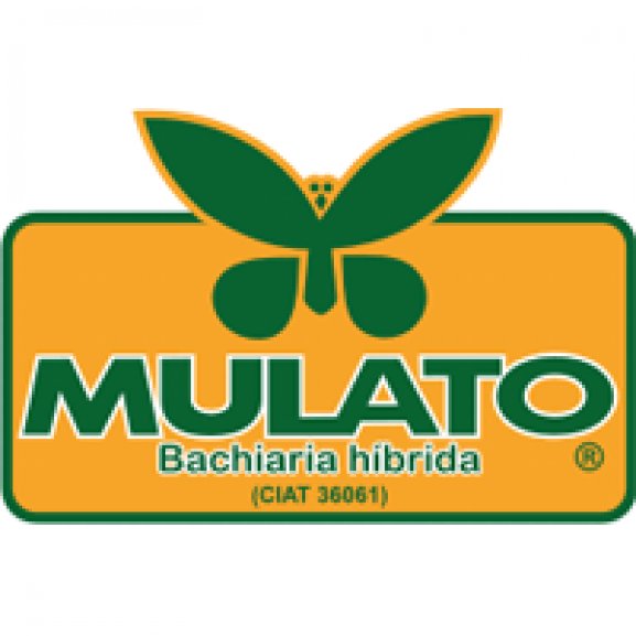 Logo of Mulato