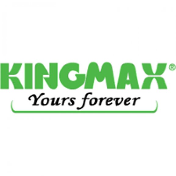 Logo of Kingmax