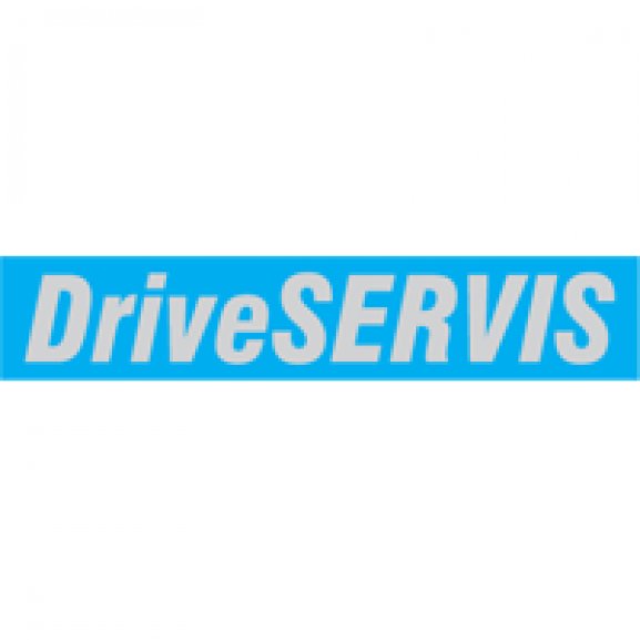 Logo of DriveSERVIS