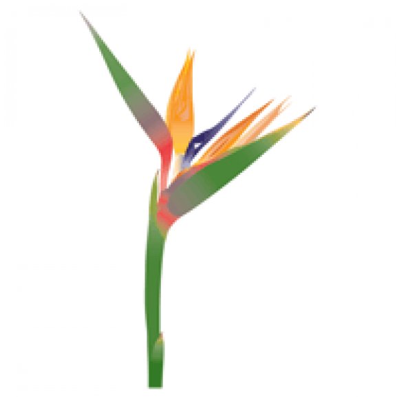 Logo of flower