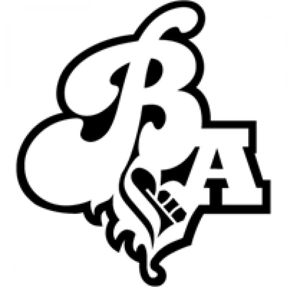 Logo of BigAirBAG