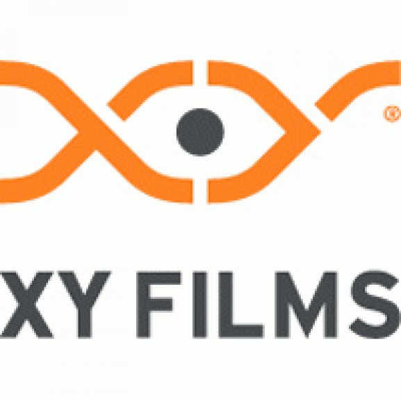 Logo of XY FILMS Bosnia &amp; Herzegovina flag