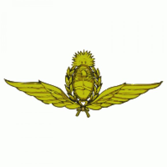 Logo of Fuerza Aerea Argentina | Argentina Air Force