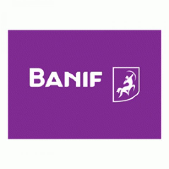 Logo of Banif Horizontal Negative