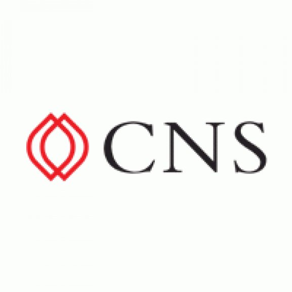 Logo of CNS Vietnam - CÔNG TY CỔ PHẦN CÔNG NGHỆ VÀ TRUYỀN THÔNG CNS