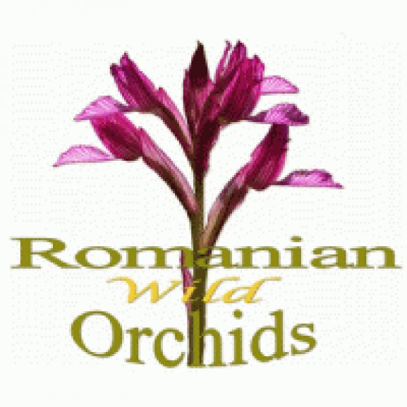 Logo of Romanian Wild Orchids