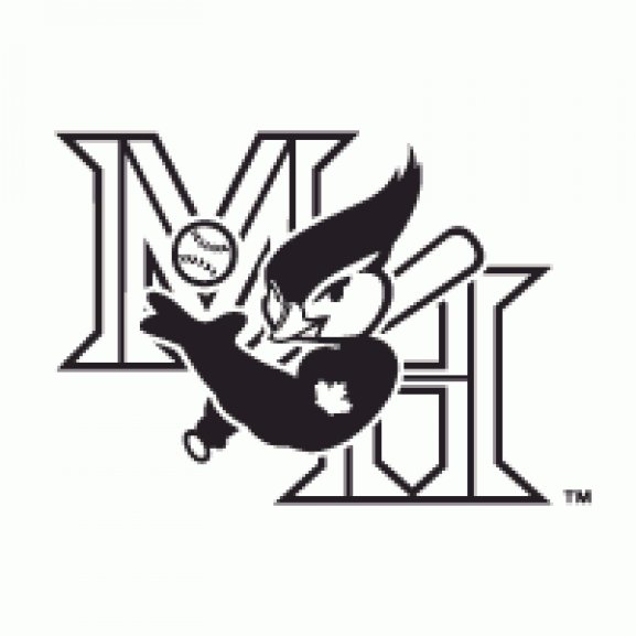 Logo of Medicine Hat Blue Jays