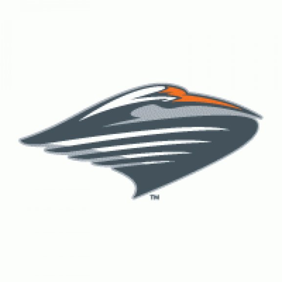 Logo of University of Miami Hurricanes