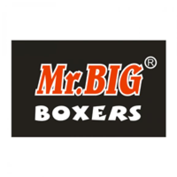Logo of Mr.BIG