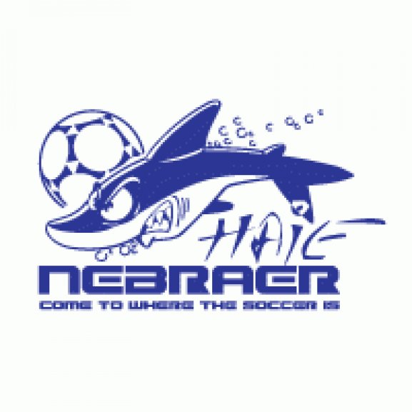 Logo of Nebraer