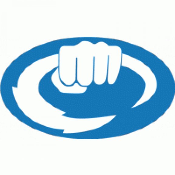 Logo of Bionic Gloves