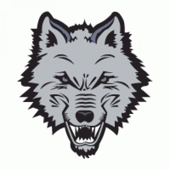 Logo of New England Sea Wolves