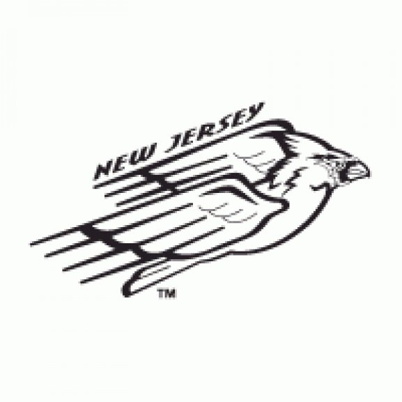 Logo of New Jersey Cardinals