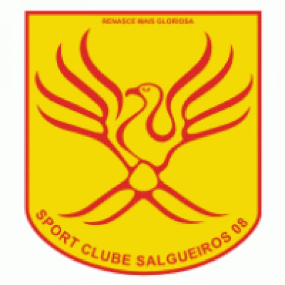 Logo of SC Salgueiros 08