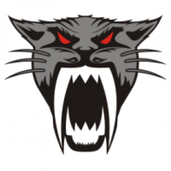 Logo of Arctic Cat