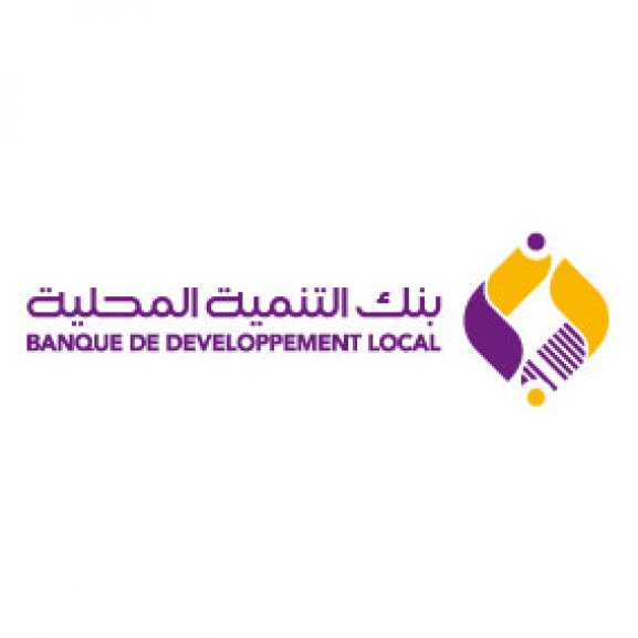 Logo of Banque de Développement Local