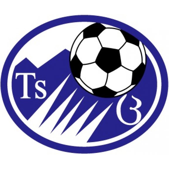Logo of FC Tskhinvali 