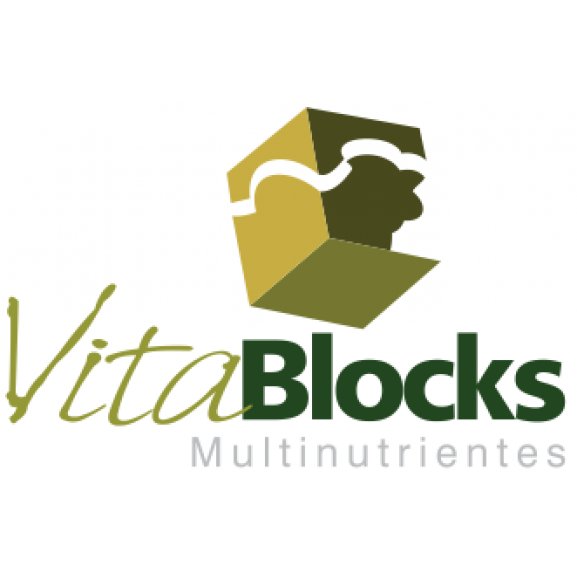 Logo of Vitablocks