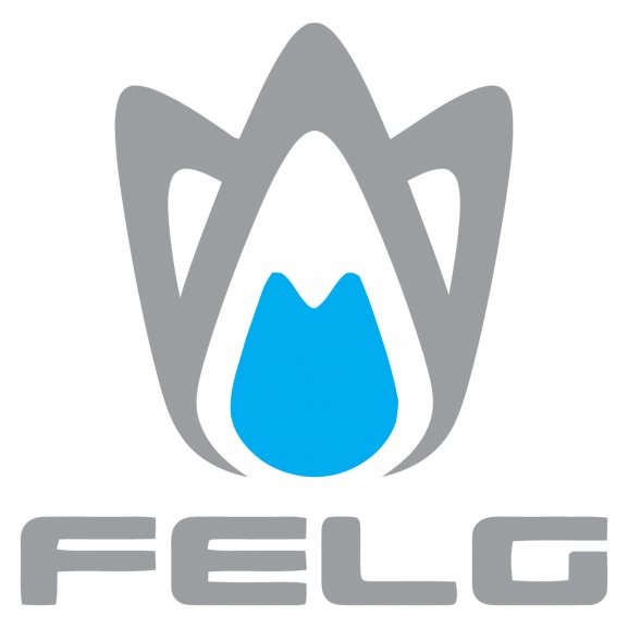 Logo of Felg Software