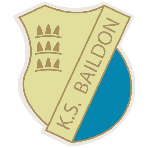 Logo of Baildon Katowice