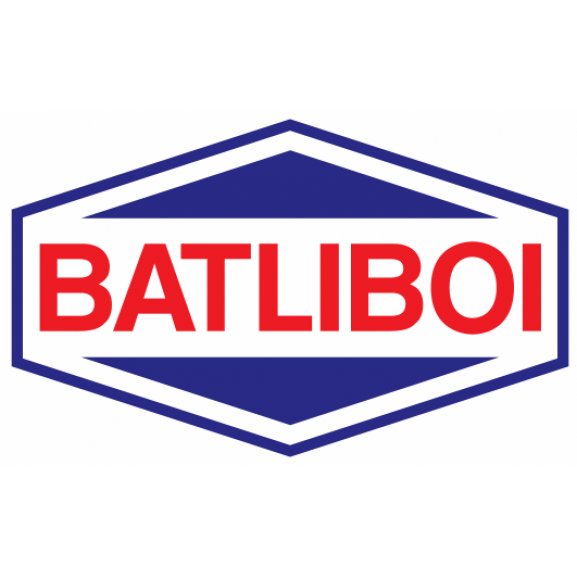 Logo of Batliboi