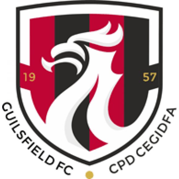 Logo of Guilsfield FC