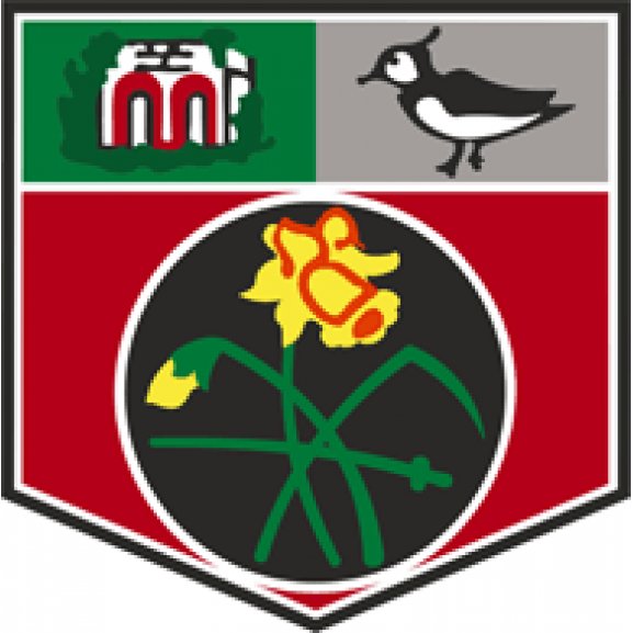 Logo of Undy Athletic FC