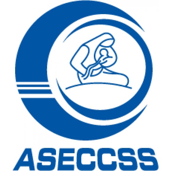 Logo of ASECCSS