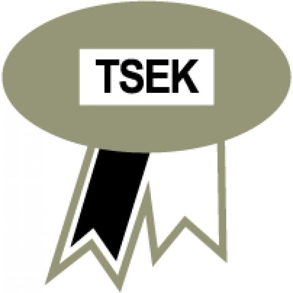 Logo of TSEK