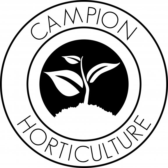 Logo of camp