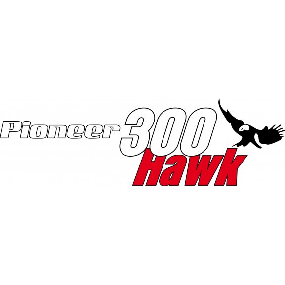 Logo of Pioneer 300 Hawk