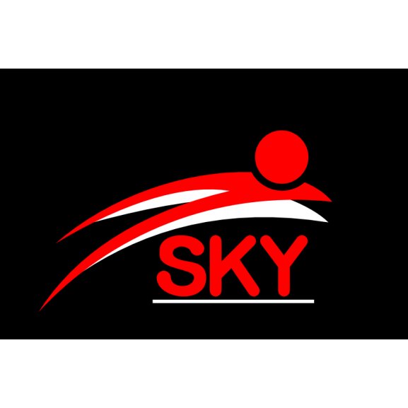 Logo of Sky Lubricantes