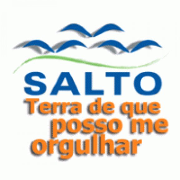 Logo of Salto