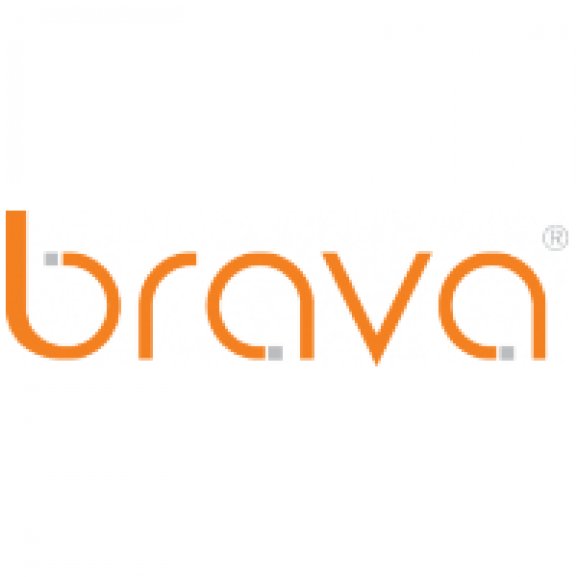 Logo of Brava LTD