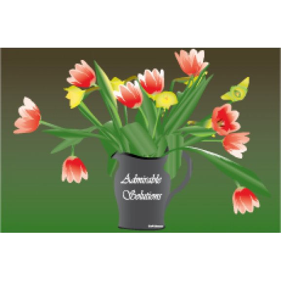 Logo of Admirable Solutions