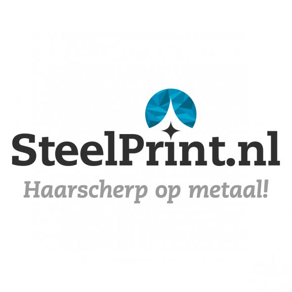 Logo of Steelprint