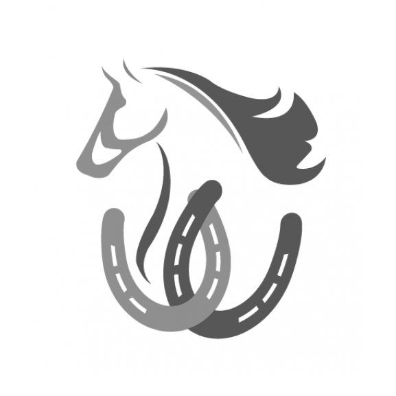 Logo of horse with shoe