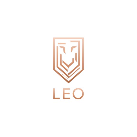 Logo of LEO Developments