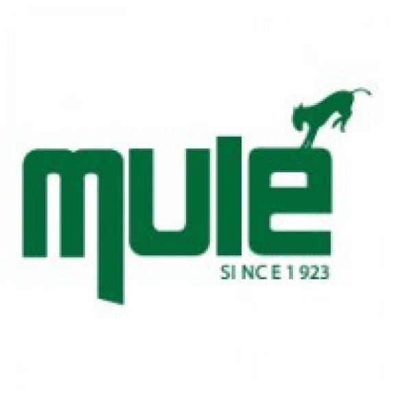 Logo of Mule Lighting