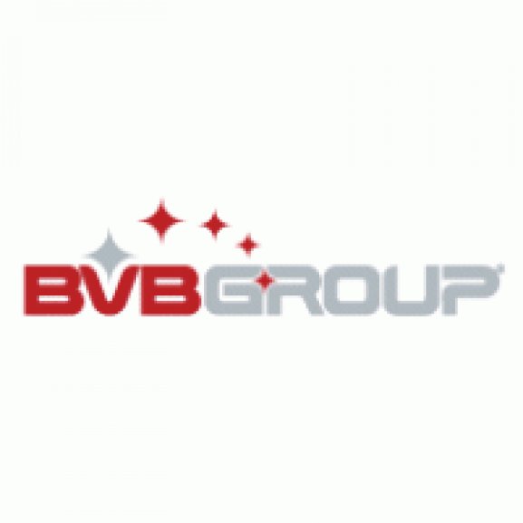 Logo of BVB Group