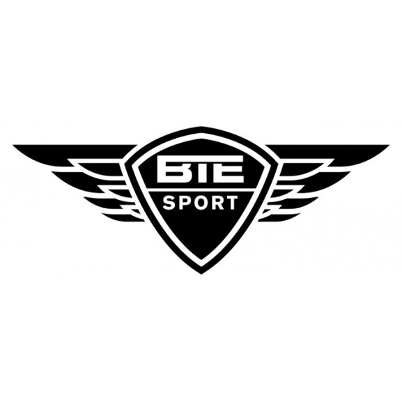 Logo of BTE Sport