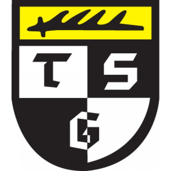 Logo of TSG Balingen