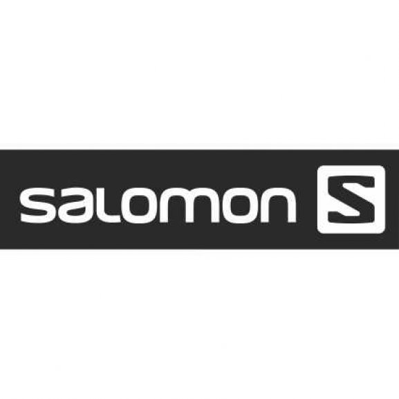 Logo of Salomon
