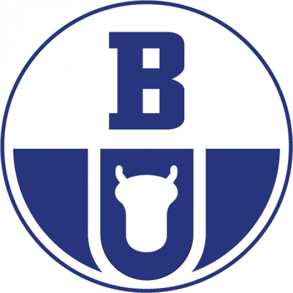 Logo of Boryszew Group